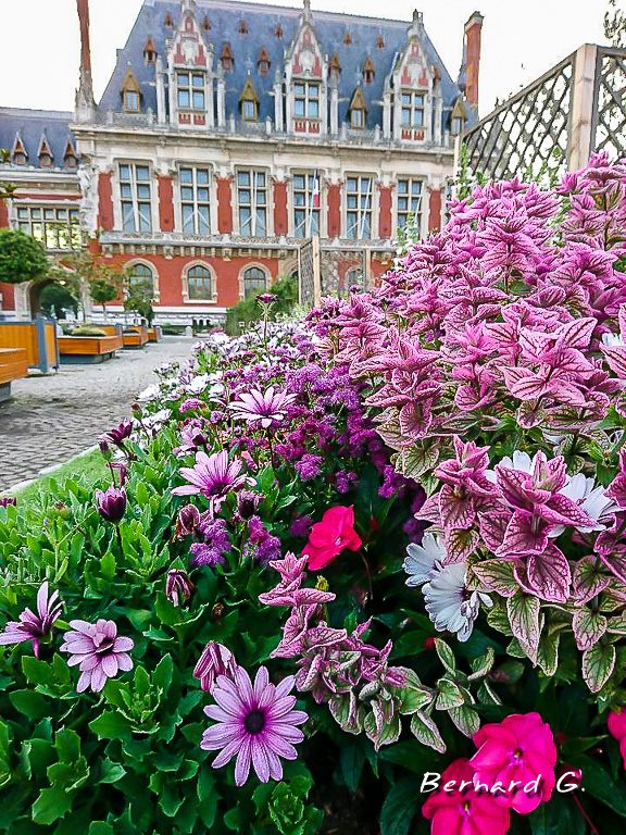 parterre floral ville de Calais