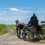 une ancienne carriole hippomobile