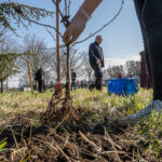 Le plaisir de planter une pousse d'arbre