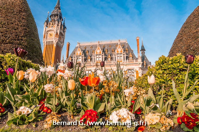 les fleurs de la mairie de Calais