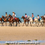 au galop sur le sable fin